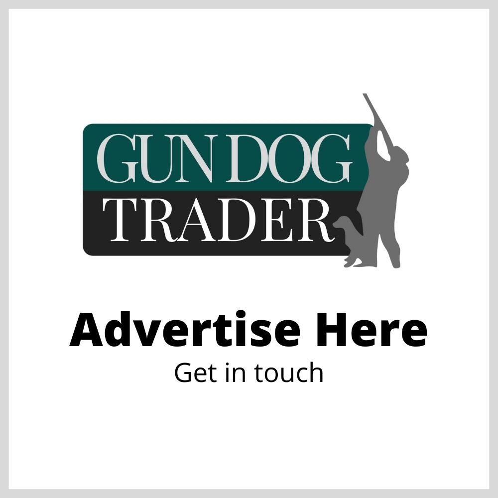 Advertise Here 1000x1000