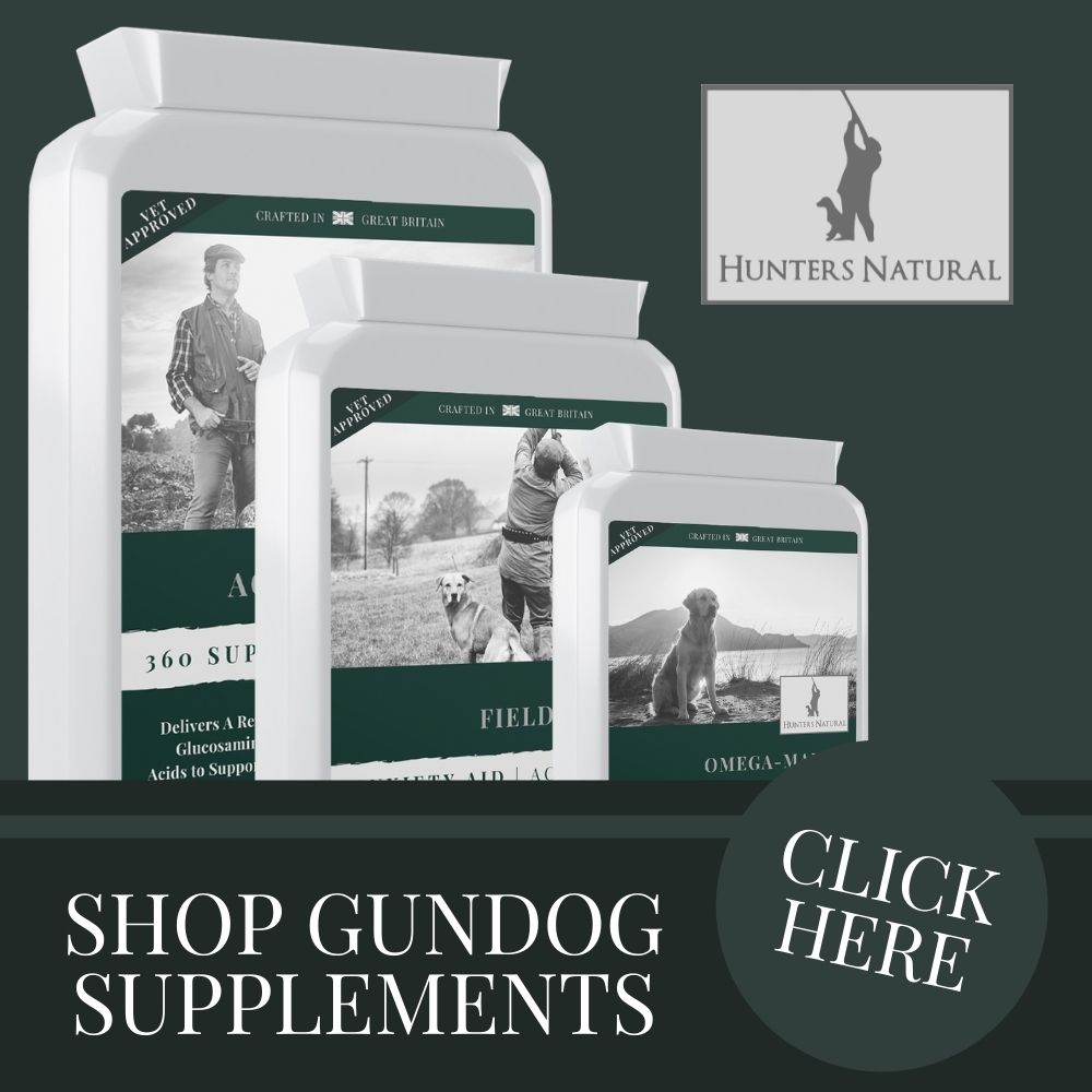 Hunters Natural Gun Dog Supplements Ad 1000x1000